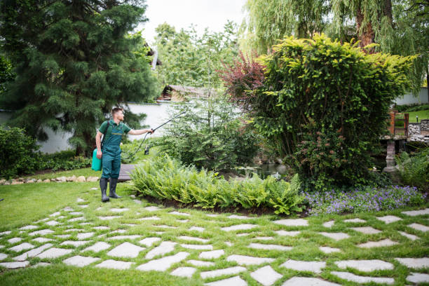 Best Best Pest Control Companies  in Turlock, CA