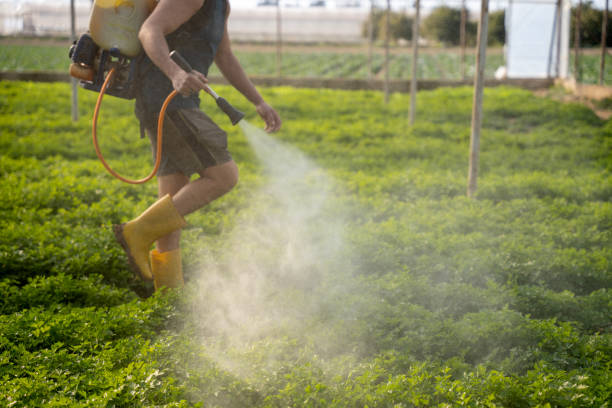 Best Mosquito Control Services  in Turlock, CA