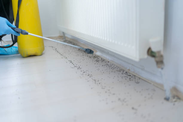 Pest Control for Restaurants in Turlock, CA